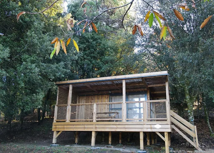 Oda ve Kahvaltı Bavella Vista